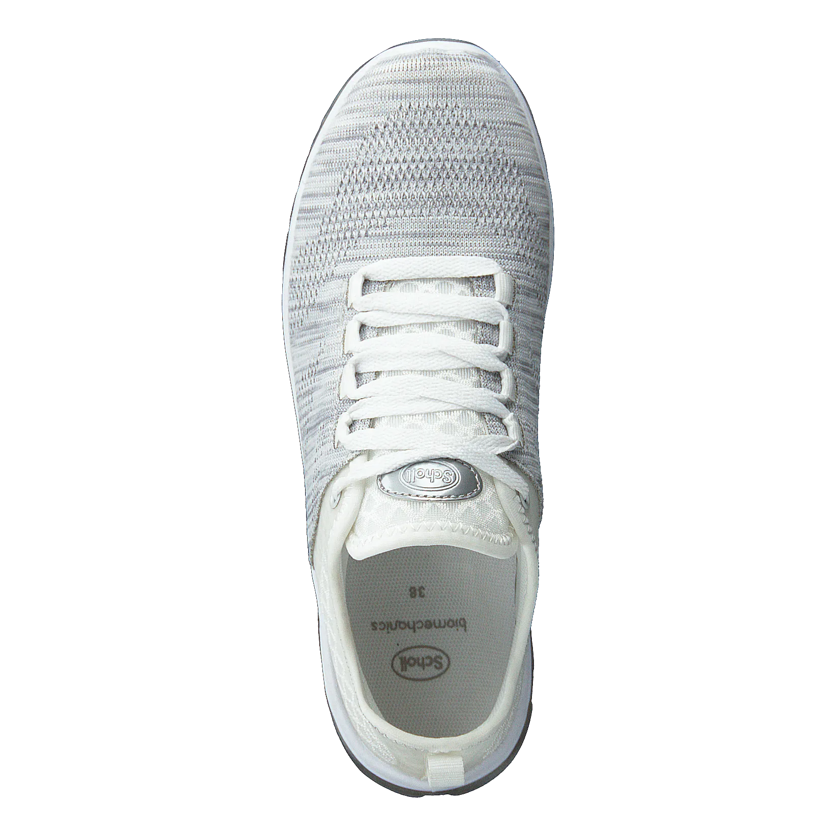 Darwin Lt Grey