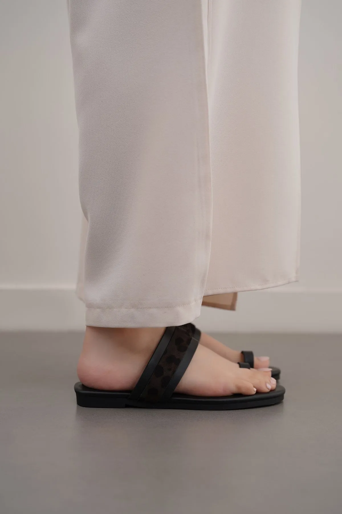 SUMMER ANIMAL SLIDES